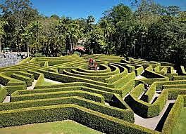 Bellingham Hedge Maze
