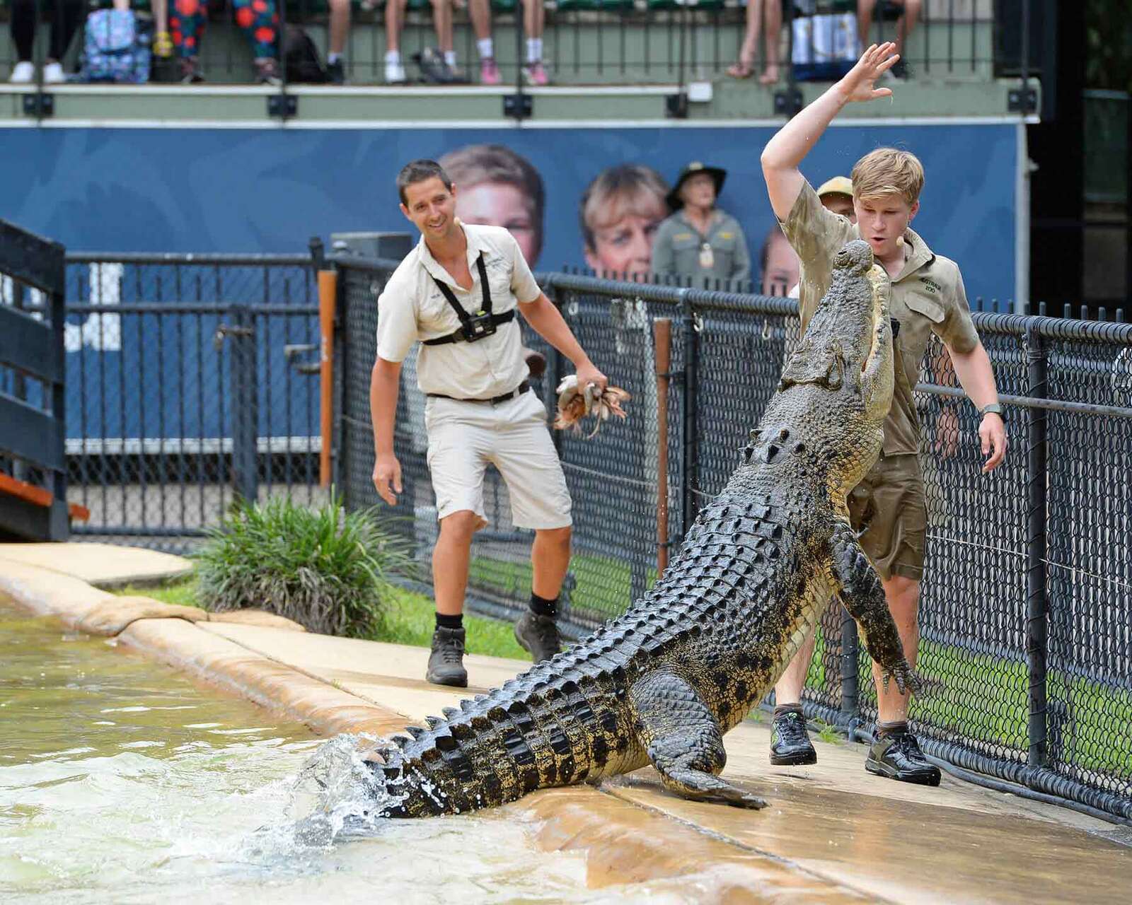 Part 3 of Must Do Day Trips 
Australia Zoo & Caloundra