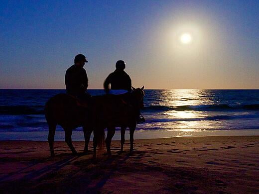 Full Moon Horse Ride